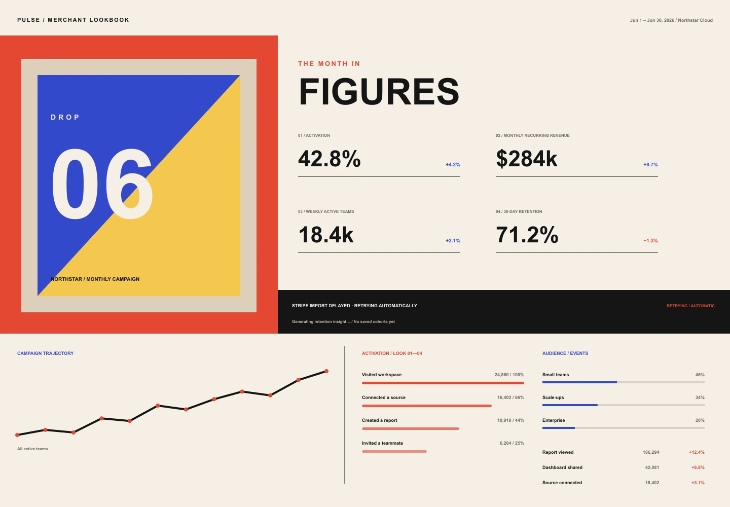 Merchant Lookbook treatment of the Pulse Analytics overview