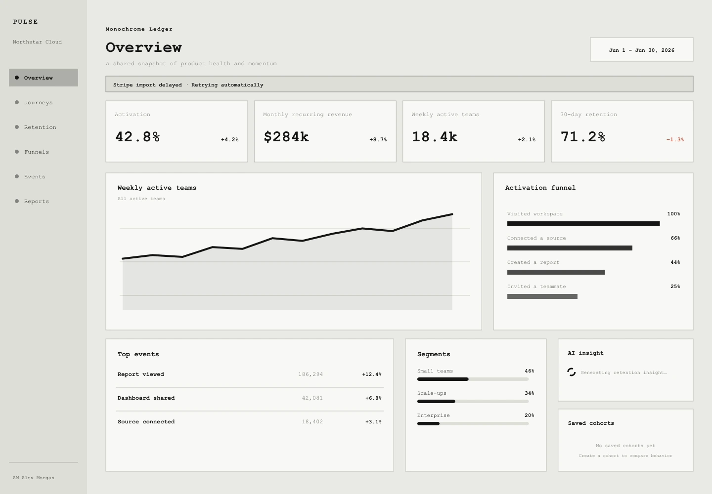 Monochrome Ledger treatment of the Pulse Analytics overview