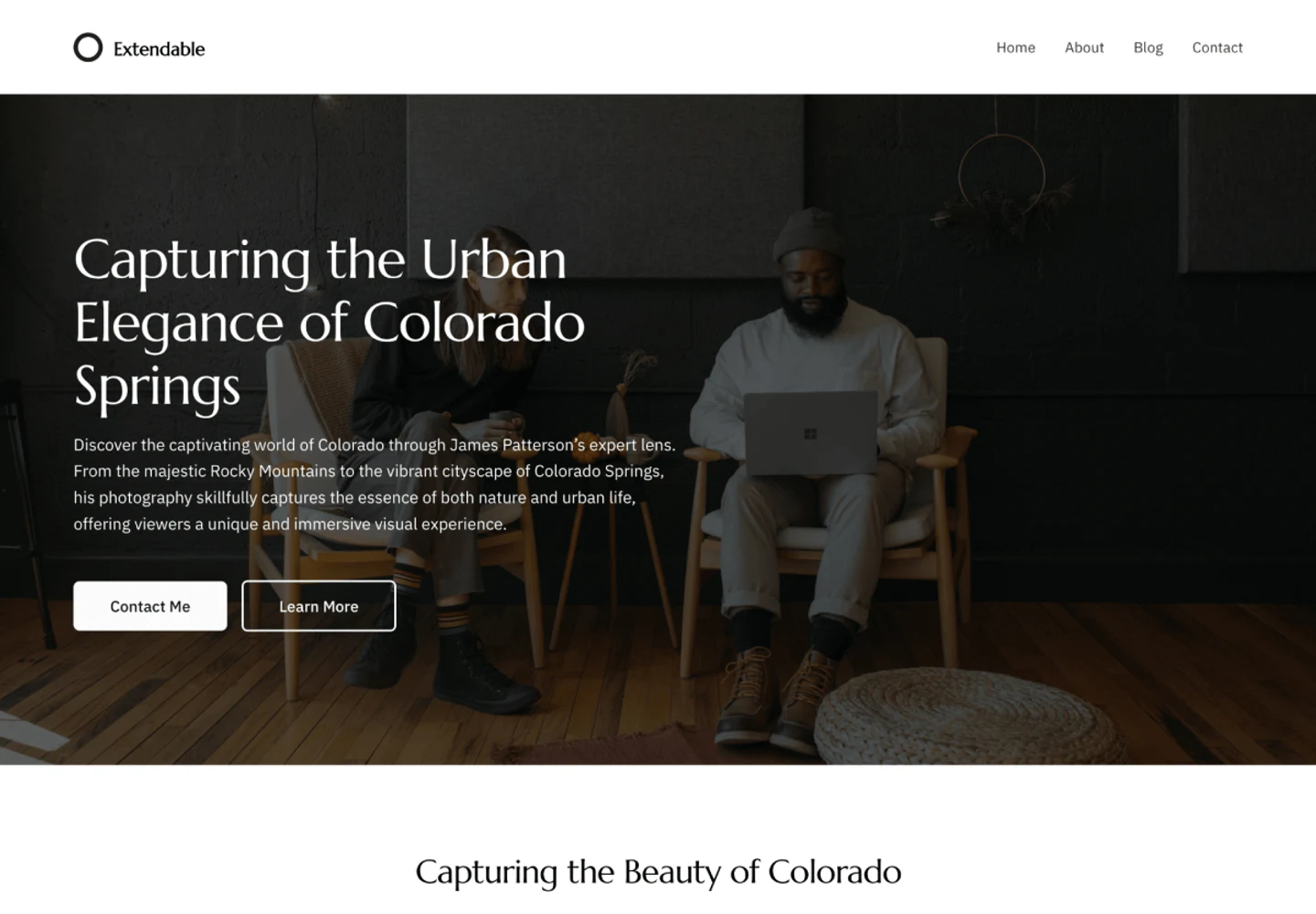 Extendable preview from WordPress.org Theme Directory
