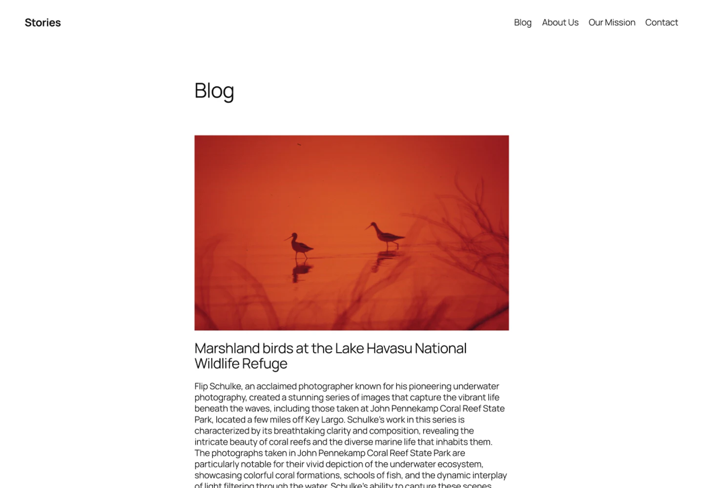 Twenty Twenty-Five preview from WordPress.org Theme Directory
